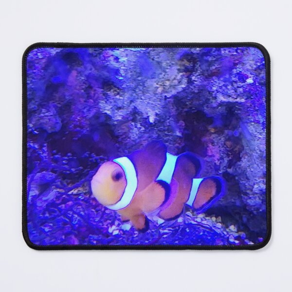Item preview, Clown fish designed and sold by Kristy97.