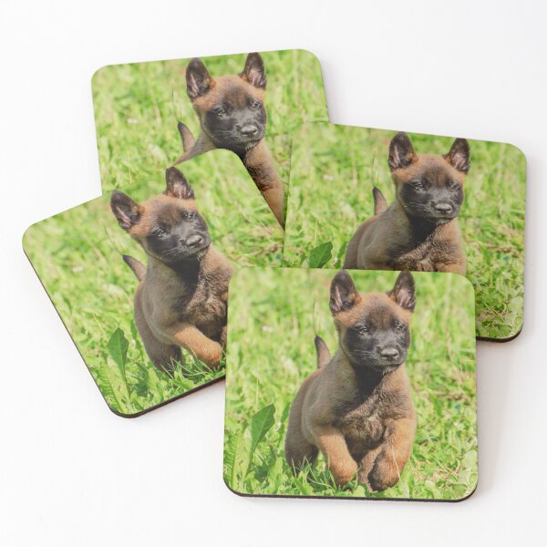 Item preview, Belgian Malinois Puppy designed and sold by TheAnimalZ00.