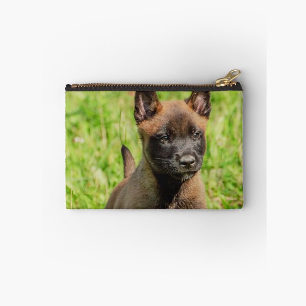 Item preview, Belgian Malinois Puppy designed and sold by TheAnimalZ00.