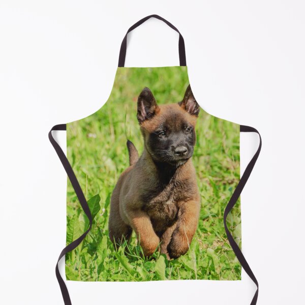 Item preview, Belgian Malinois Puppy designed and sold by TheAnimalZ00.
