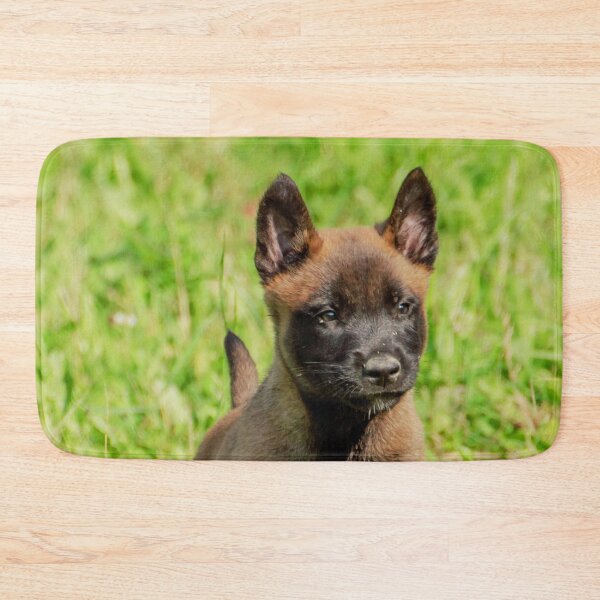 Item preview, Belgian Malinois Puppy designed and sold by TheAnimalZ00.