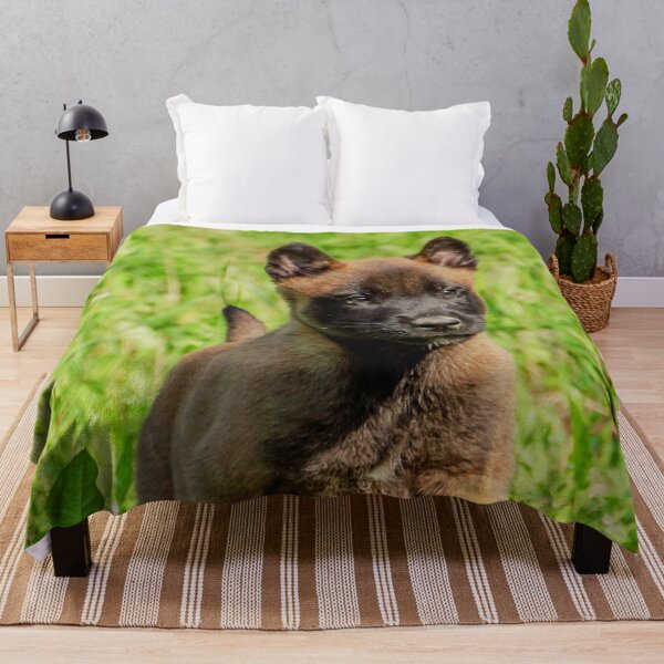 Item preview, Belgian Malinois Puppy designed and sold by TheAnimalZ00.