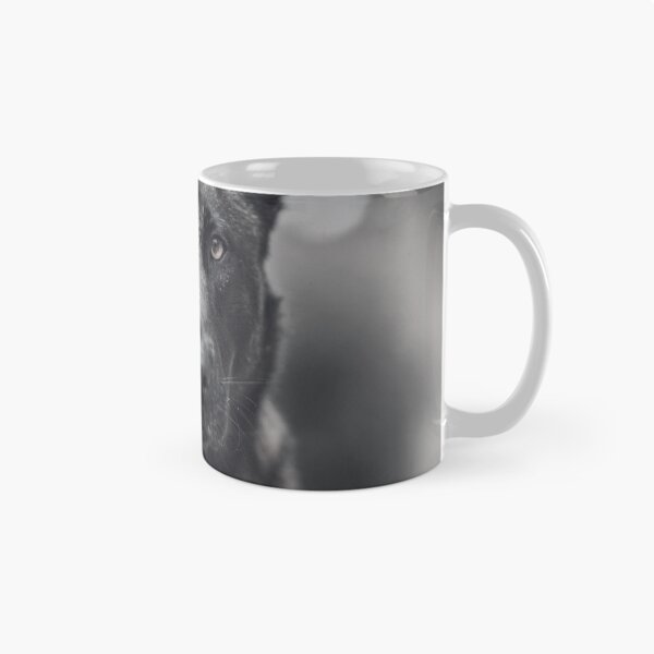 Item preview, Black And White Belgian Malinois Photo designed and sold by TheAnimalZ00.