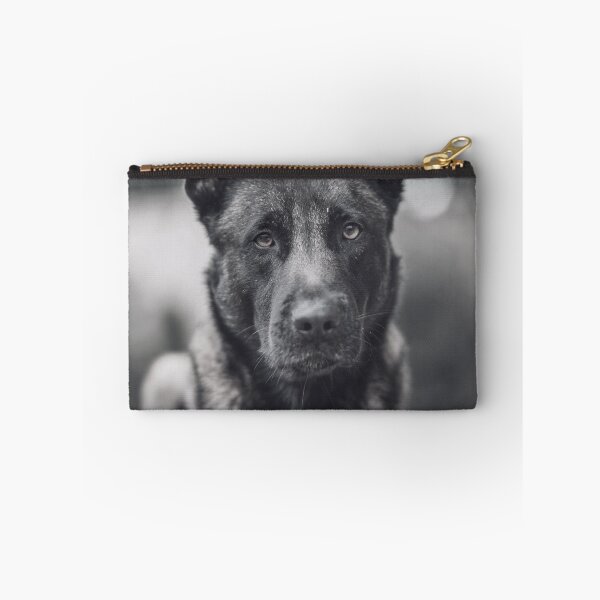 Item preview, Black And White Belgian Malinois Photo designed and sold by TheAnimalZ00.