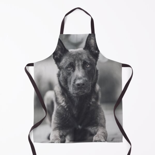 Item preview, Black And White Belgian Malinois Photo designed and sold by TheAnimalZ00.