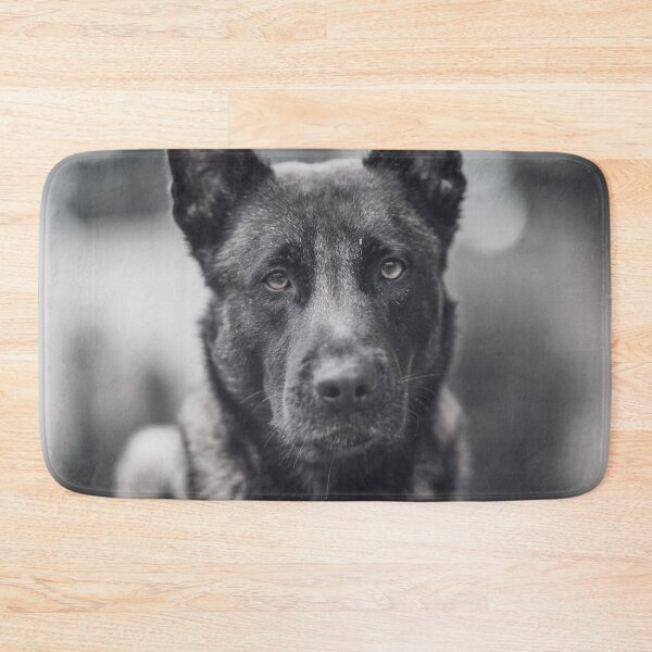 Item preview, Black And White Belgian Malinois Photo designed and sold by TheAnimalZ00.