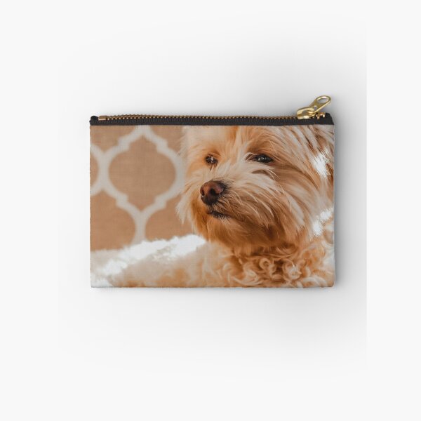 Item preview, Foto de Maltipoo designed and sold by TheAnimalZ00.