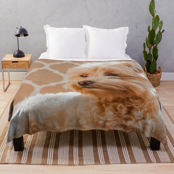 Item preview, Maltipoo Photo designed and sold by TheAnimalZ00.