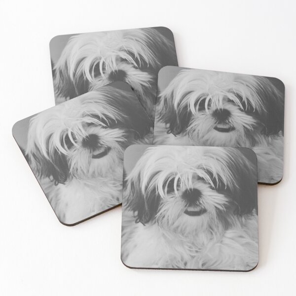 Item preview, Black And White Shih Tzu Photo designed and sold by TheAnimalZ00.