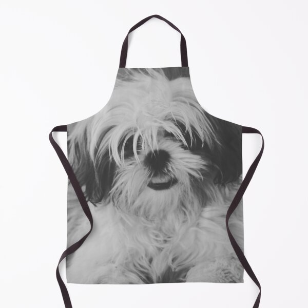 Item preview, Black And White Shih Tzu Photo designed and sold by TheAnimalZ00.