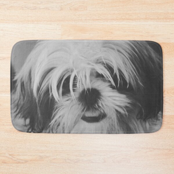 Item preview, Black And White Shih Tzu Photo designed and sold by TheAnimalZ00.
