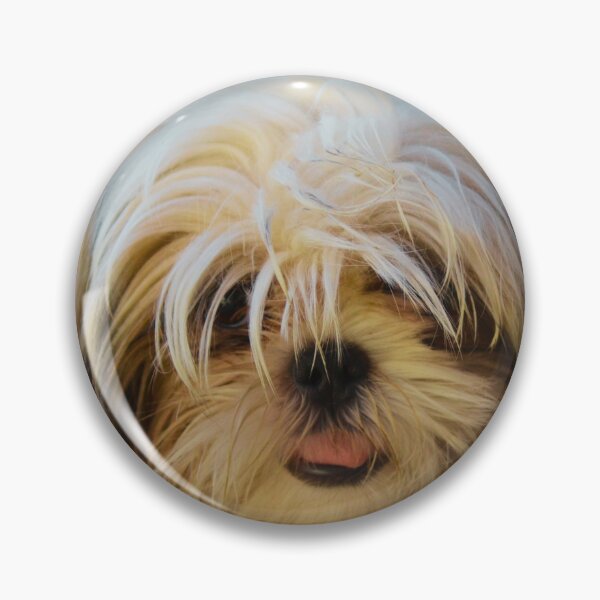 Item preview, Shih Tzu Photo designed and sold by TheAnimalZ00.