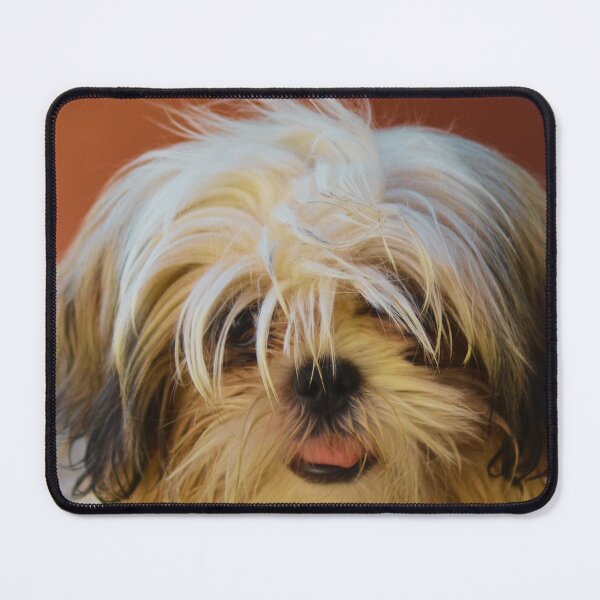 Item preview, Shih Tzu Photo designed and sold by TheAnimalZ00.