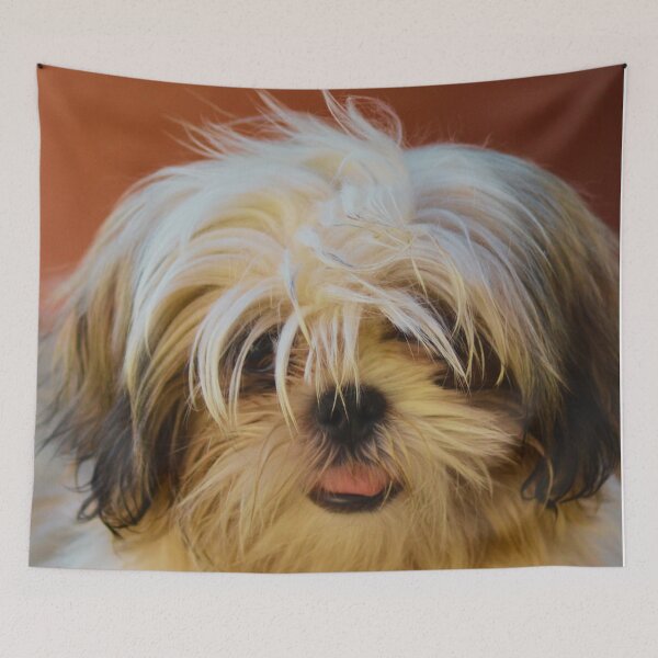 Item preview, Shih Tzu Photo designed and sold by TheAnimalZ00.