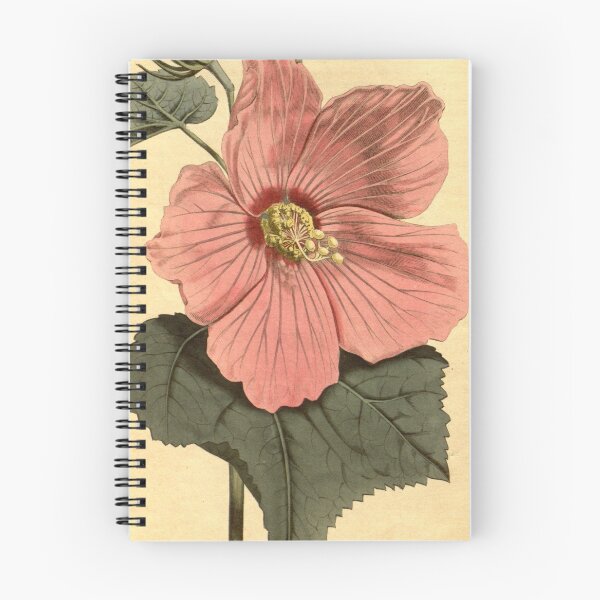 Item preview, Vintage Illustration of a Hibiscus Flower (1806) designed and sold by BravuraMedia.