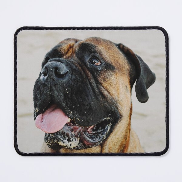 Item preview, Bullmastiff Photo designed and sold by TheAnimalZ00.