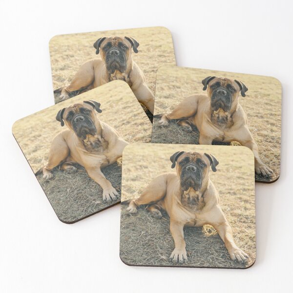 Item preview, Bullmastiff  designed and sold by TheAnimalZ00.