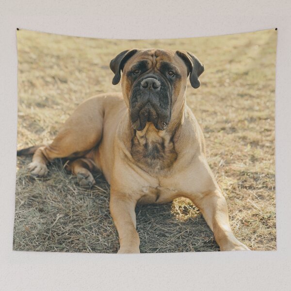 Item preview, Bullmastiff  designed and sold by TheAnimalZ00.