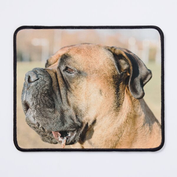 Item preview, Bullmastiff Picture designed and sold by TheAnimalZ00.
