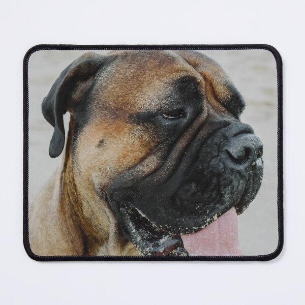 Item preview, Cute Bullmastiff Photo designed and sold by TheAnimalZ00.