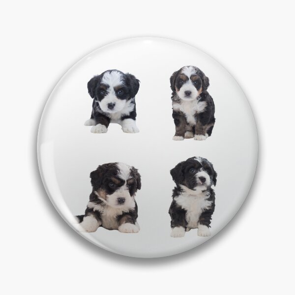 Item preview, Bernedoodle Puppies designed and sold by TheAnimalZ00.