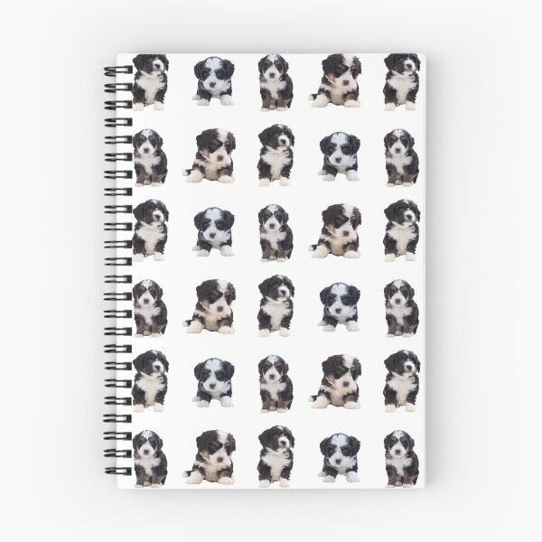 Item preview, Bernedoodle Puppies designed and sold by TheAnimalZ00.
