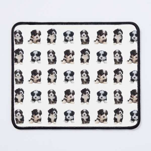 Item preview, Bernedoodle Puppies designed and sold by TheAnimalZ00.