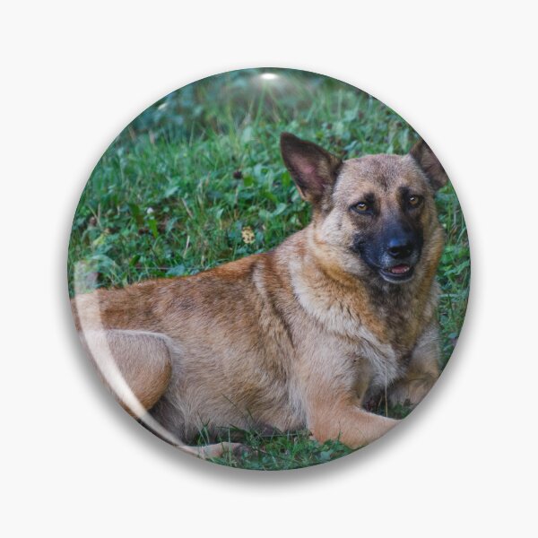 Item preview, Belgian Malinois designed and sold by TheAnimalZ00.