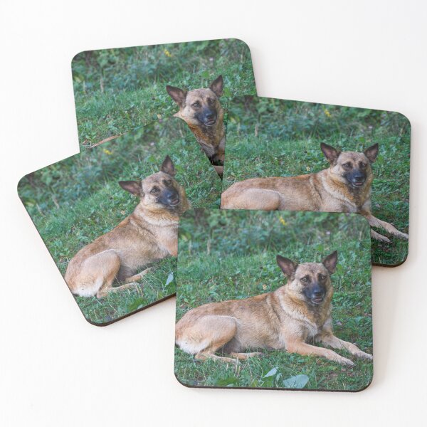 Item preview, Belgian Malinois designed and sold by TheAnimalZ00.