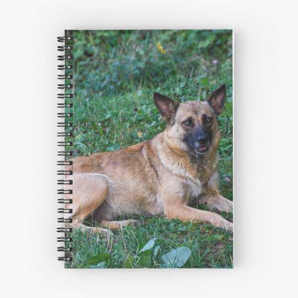 Item preview, Belgian Malinois designed and sold by TheAnimalZ00.
