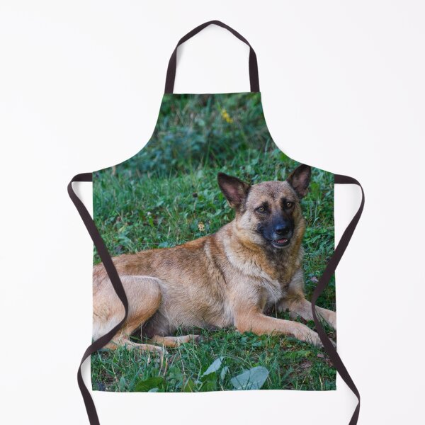 Item preview, Belgian Malinois designed and sold by TheAnimalZ00.