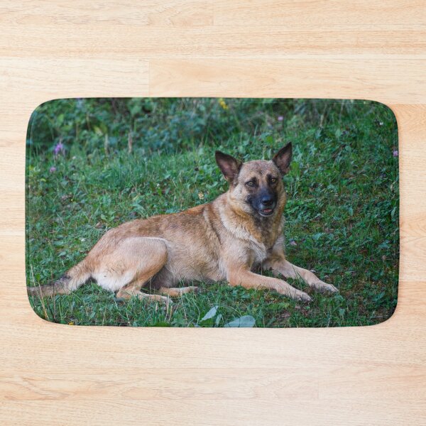 Item preview, Belgian Malinois designed and sold by TheAnimalZ00.