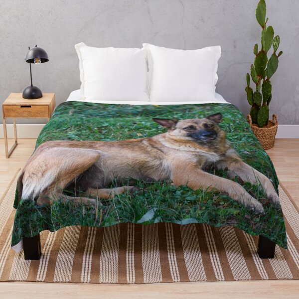 Item preview, Belgian Malinois designed and sold by TheAnimalZ00.