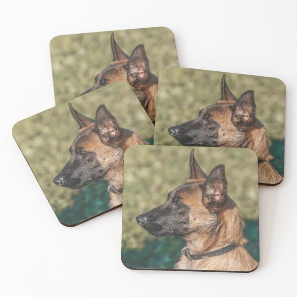 Item preview, Belgian Malinois Picture designed and sold by TheAnimalZ00.