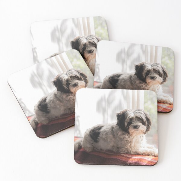 Item preview, Cute Shih Tzu  designed and sold by TheAnimalZ00.