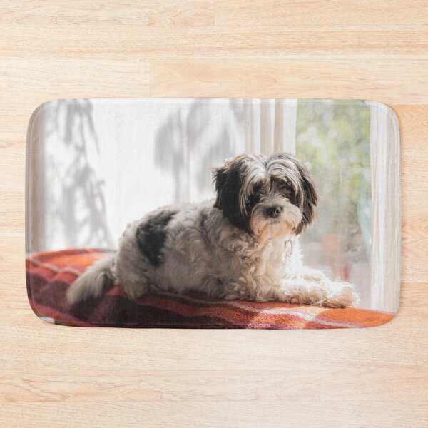 Item preview, Cute Shih Tzu  designed and sold by TheAnimalZ00.