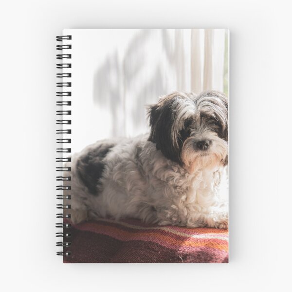 Item preview, Cute Shih Tzu  designed and sold by TheAnimalZ00.