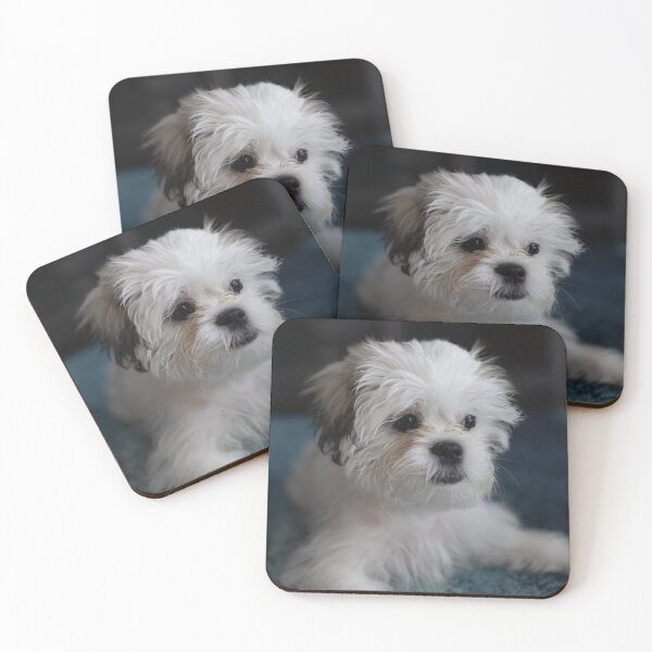 Item preview, Shih Tzu Dog designed and sold by TheAnimalZ00.
