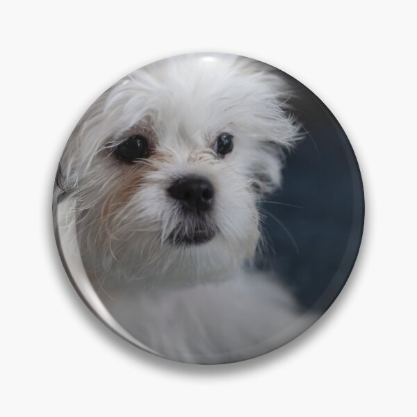 Item preview, Shih Tzu Dog designed and sold by TheAnimalZ00.