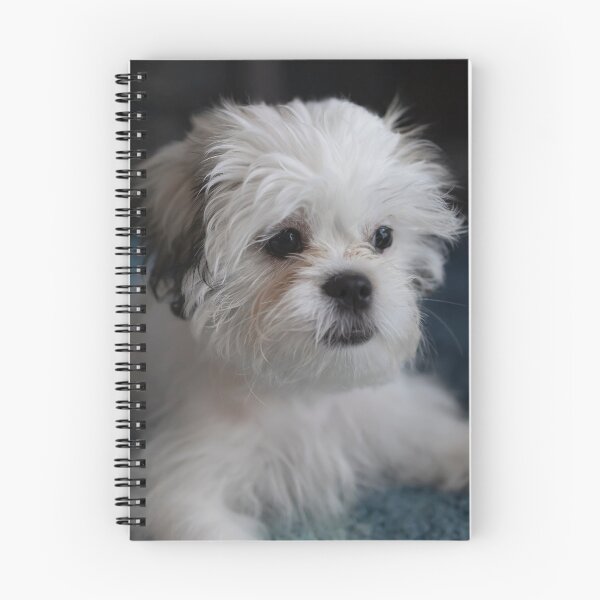 Item preview, Shih Tzu Dog designed and sold by TheAnimalZ00.