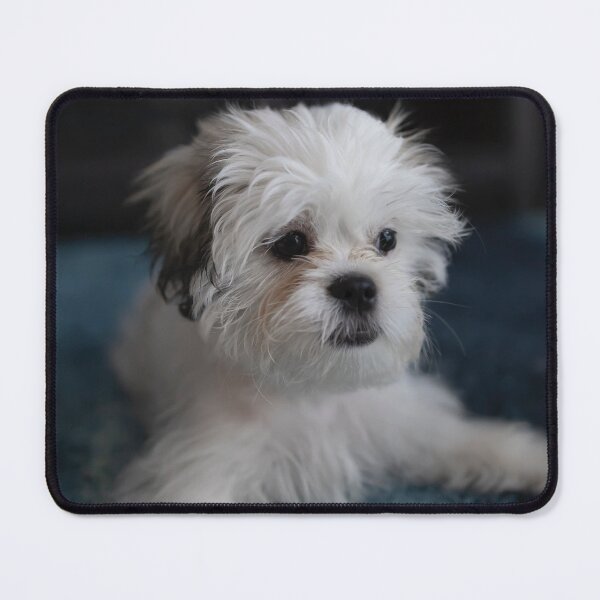 Item preview, Shih Tzu Dog designed and sold by TheAnimalZ00.