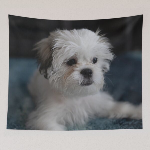 Item preview, Shih Tzu Dog designed and sold by TheAnimalZ00.