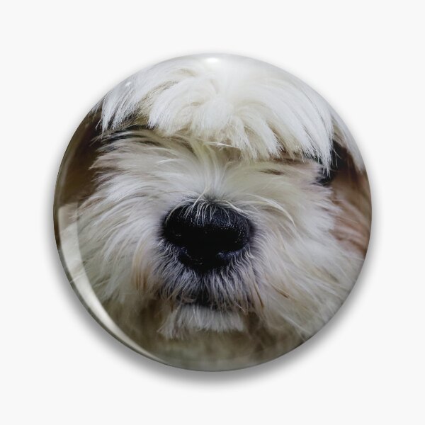 Item preview, Closeup of Shih Tzu Face designed and sold by TheAnimalZ00.