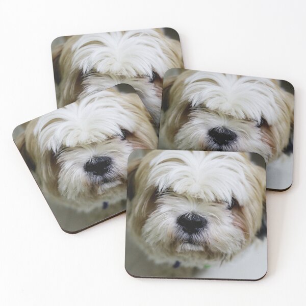Item preview, Closeup of Shih Tzu Face designed and sold by TheAnimalZ00.
