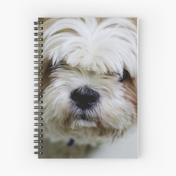 Item preview, Closeup of Shih Tzu Face designed and sold by TheAnimalZ00.