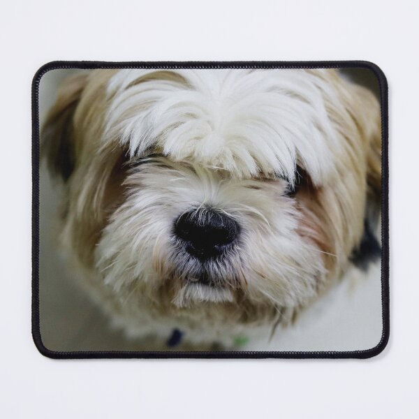 Item preview, Closeup of Shih Tzu Face designed and sold by TheAnimalZ00.