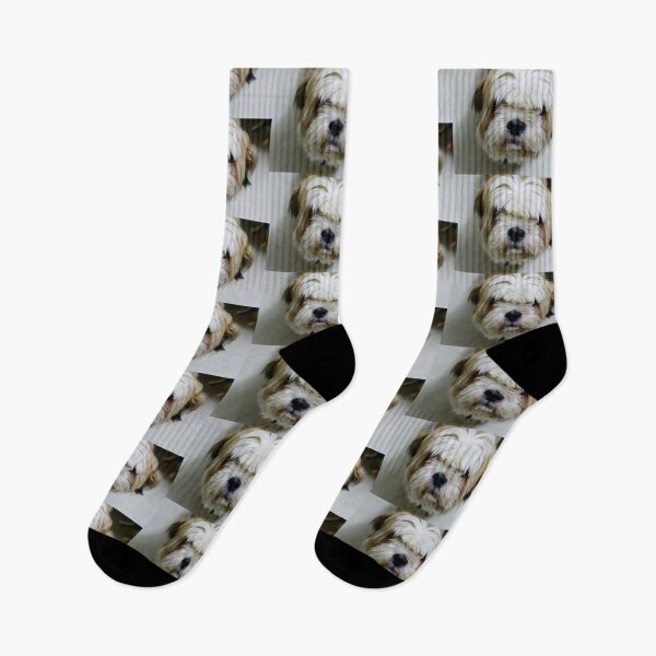 Item preview, Closeup of Shih Tzu Face designed and sold by TheAnimalZ00.