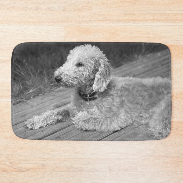 Item preview, Bedlington Terrier Photo designed and sold by TheAnimalZ00.