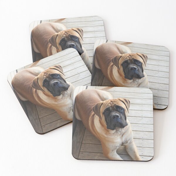 Item preview, Cute Bullmastiff Photo designed and sold by TheAnimalZ00.