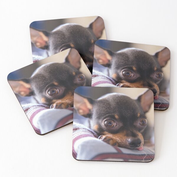 Item preview, Cute Chihuahua Photo designed and sold by TheAnimalZ00.